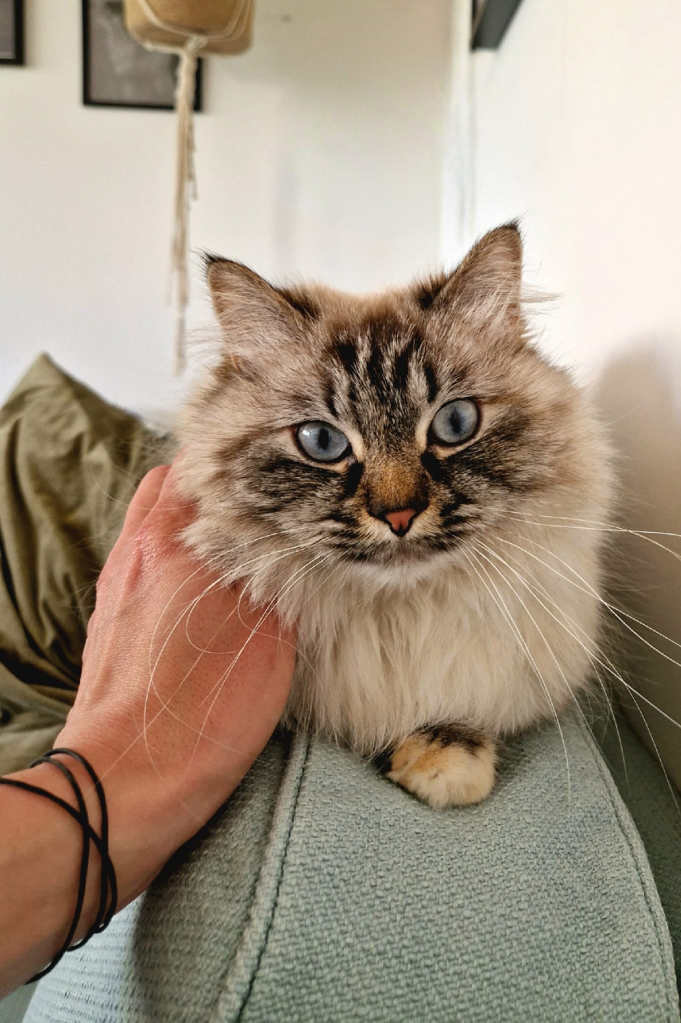 Nicole Schwarz - Mindset, Healing, Geistige Aufrichtung